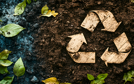 Flächenrecycling 